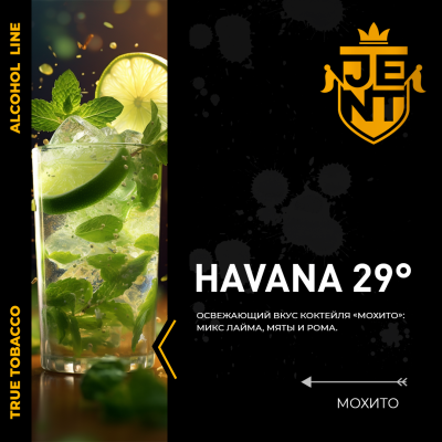 JENT ALCOHOL - Havana 29° (Джент Мохито) 200 гр.