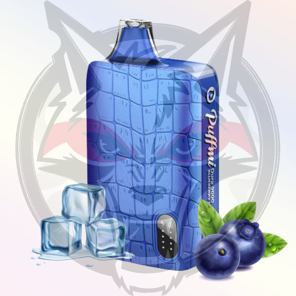 PUFFMI 9000 - Blueberry Ice