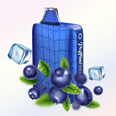 PUFFMI 9000 - Quad Berry Ice