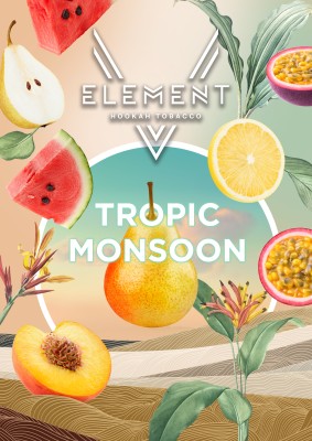 Element V - Tropic Monsoon (Элемент Маракуйя,Лимон,Персик,Арбуз) 25гр.