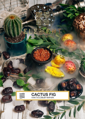 Табак для кальяна "Элемент" aroma Cactus Fig линейка "Воздух" 40гр.