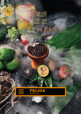 Element Земля - Feijoa (Элемент Фейхоа) 25гр.
