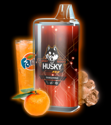 Husky Cyber 8000 Затяжек - Fangerine