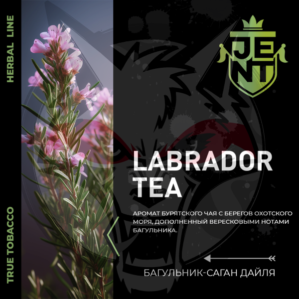 JENT HERB - Labrador tea (Джент Багульник - Саган дайля) 30 гр.