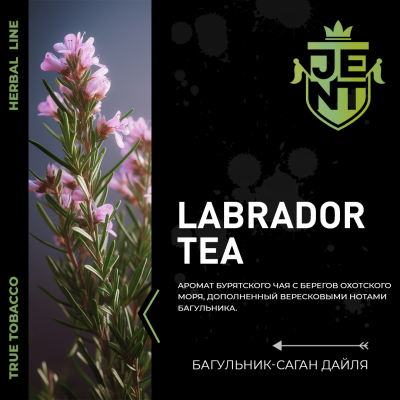 JENT HERB - Labrador tea (Джент Багульник - Саган Дайля) 200 гр.