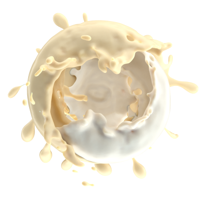 SOAK L - Boiled Milk/ Сгущенное молоко 10 мл